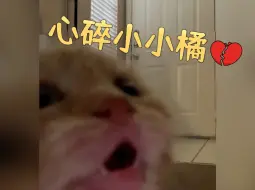 Descargar video: 谁！ 来！ 抱！ 抱！ 它！