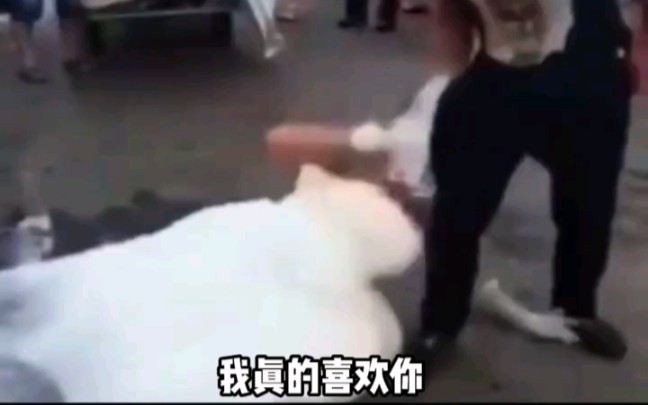 你为什么要抛弃我啊哔哩哔哩bilibili