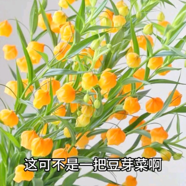 多人聯名花卉 多巴胺小花束🩷💛💜🩵 看了心情超好的🥹 2朵苏醒香皂花束💐 可