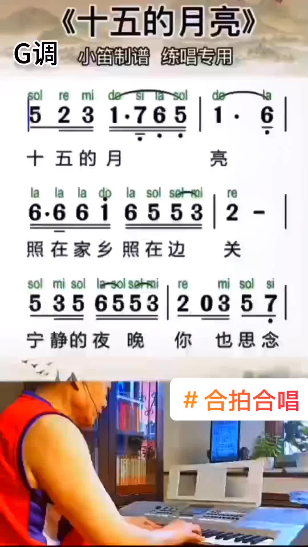 十五的月亮歌曲原唱(十五的月亮歌曲原唱歌词)