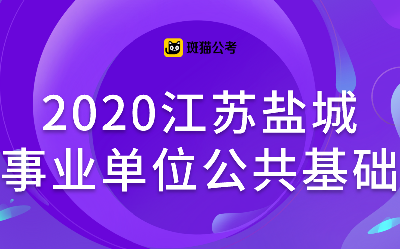 【斑猫公考】2020江苏盐城事业单位公共基础哔哩哔哩bilibili