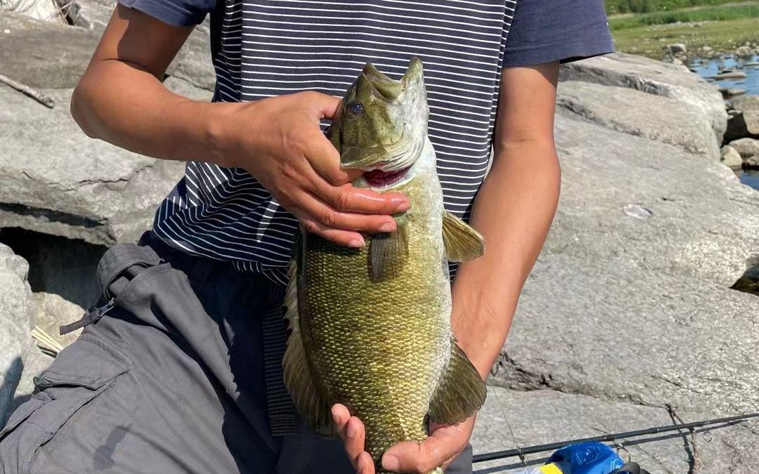 2021岸钓首杆,一条够分量的大嘴bass(鲈鱼)