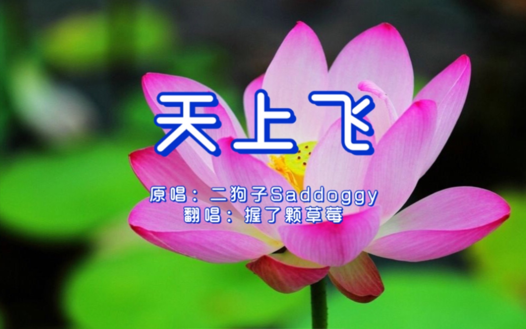 wu～根本拦不住!天上飞-握了颗草莓(cover:二狗子saddoggy)