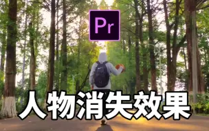 Download Video: 【PR教程】消失的她？电影中的人物消失效果，原来这么简单！