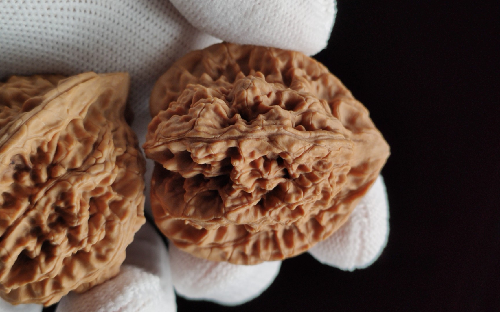 (核桃拍卖)昌平龙脊,全品无修,身上有点开青皮的小磕碰.边/肚/高:39.