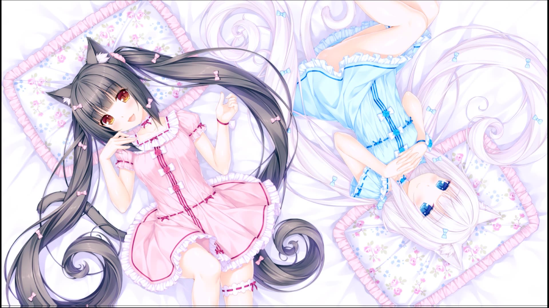 nekopara波动 音乐版 1080p