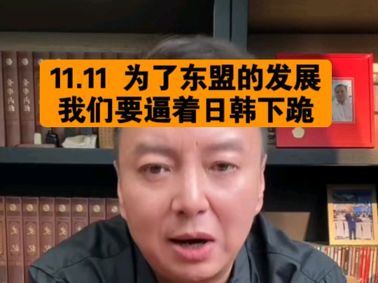 驭电人11.11 为了东盟的发展 我们要逼着日韩下跪哔哩哔哩bilibili