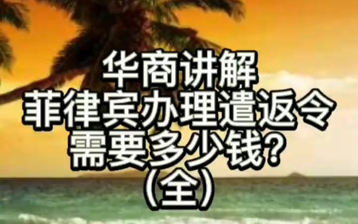 菲律宾办理遣返令需要多少钱?(全)哔哩哔哩bilibili