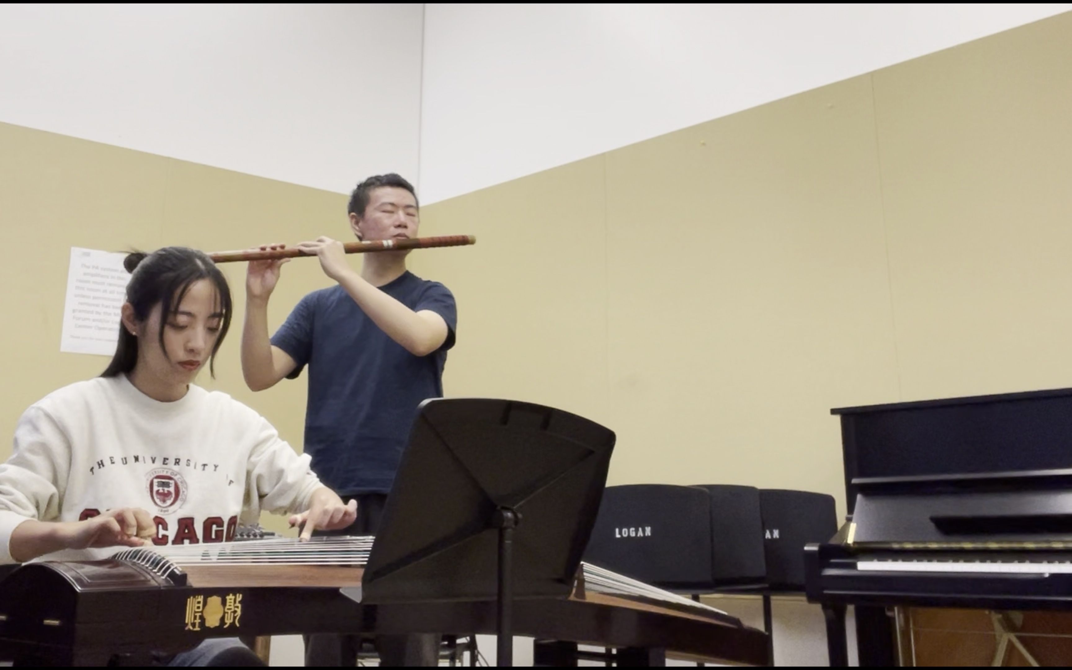 《乱红》-古筝竹笛重奏