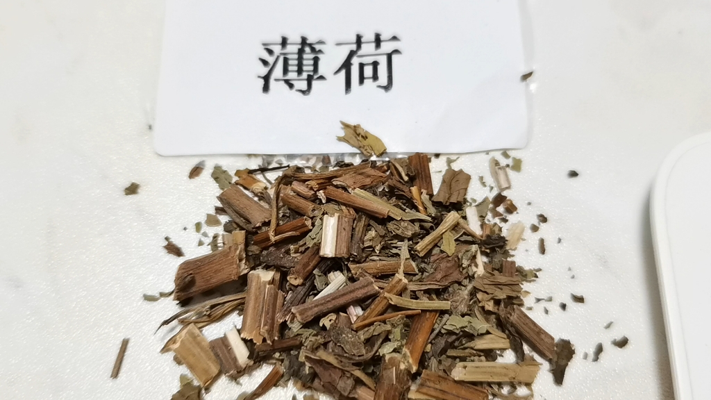 每天了解一味中药 薄荷