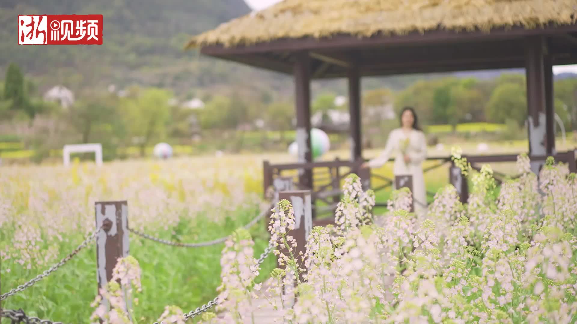 [图]春天美如画！建德“五彩油菜花海”正绚烂