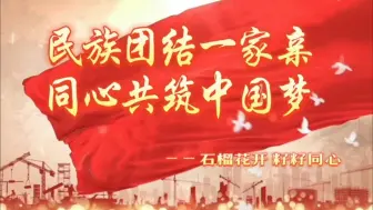 Download Video: 石榴花开 籽籽同心：民族团结一家亲 同心共筑中国梦