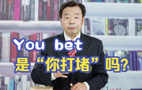 老外常说的You bet是什么意思?是“你打堵”吗?哔哩哔哩bilibili