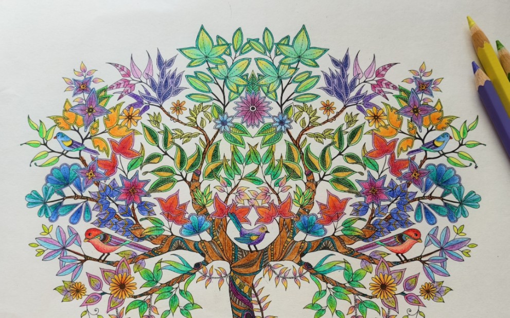 秘密花园填色之生命树