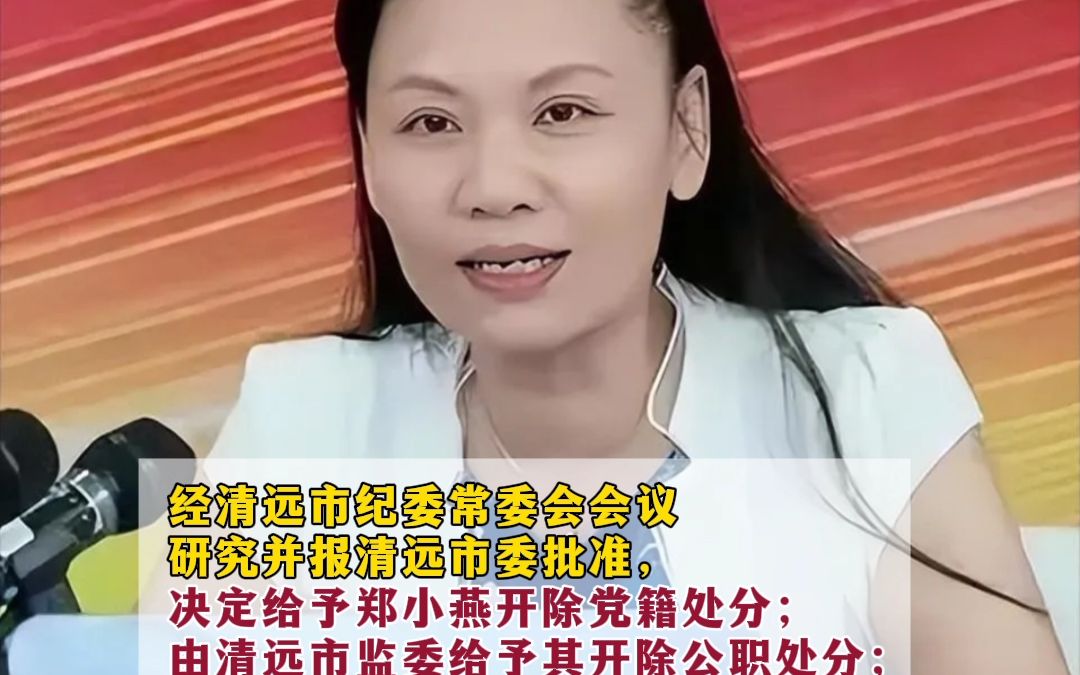 与多人串供!清远市清新区委原书记郑小燕被被双开哔哩哔哩bilibili