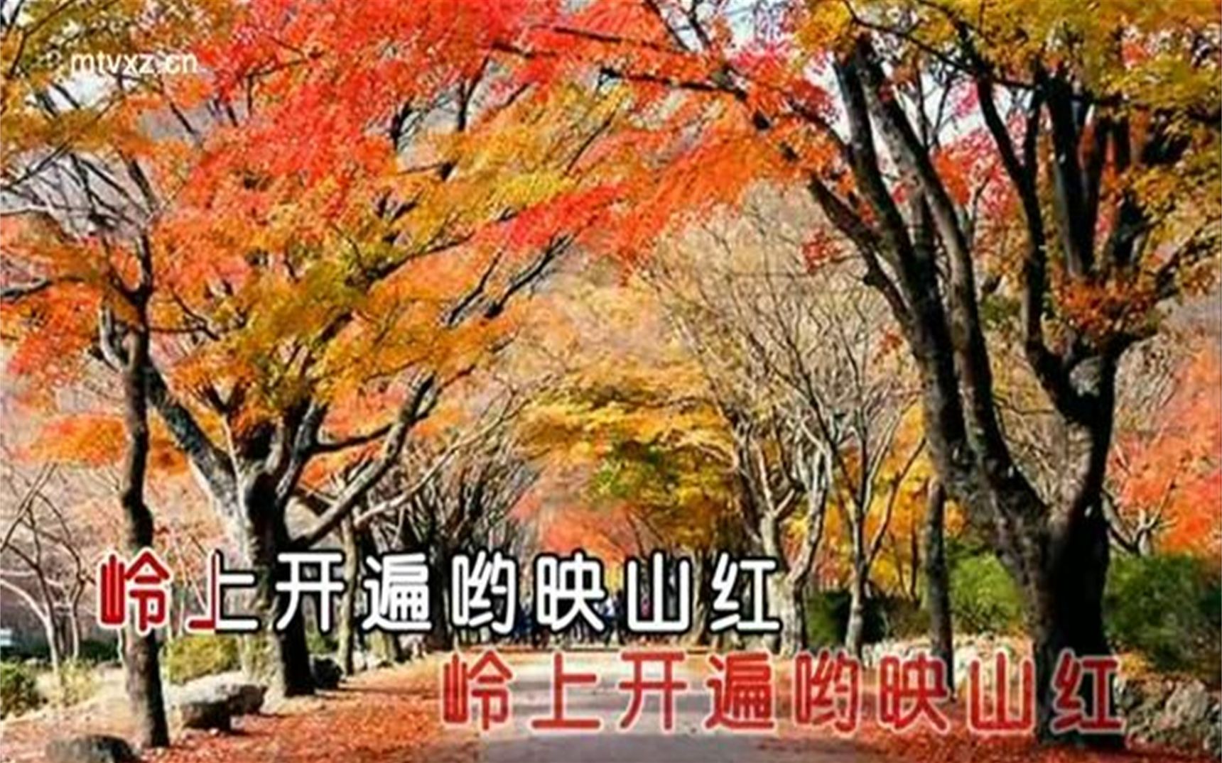 [图]经典华语流行歌曲1000首-玖月奇迹-映山红