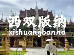 Download Video: 欢迎来到西双版纳~