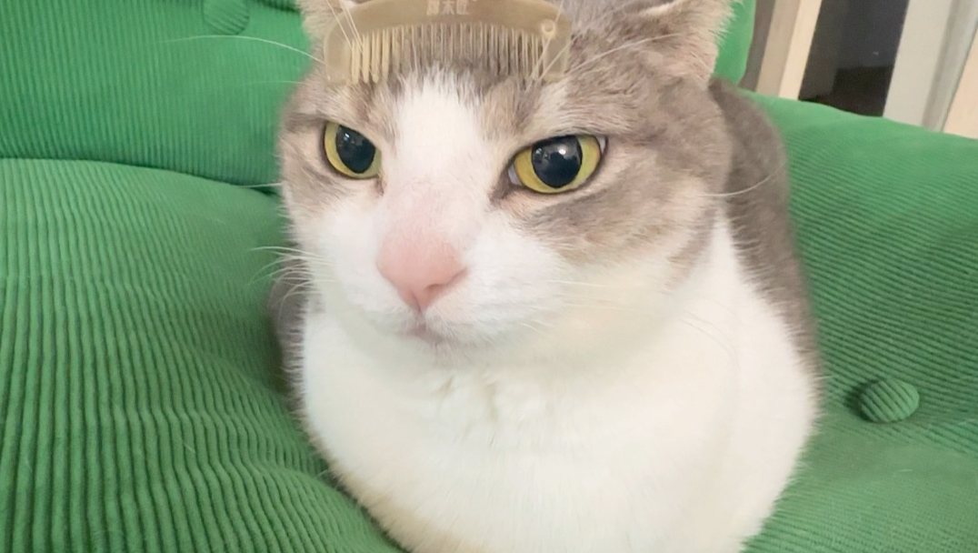 万恶之源