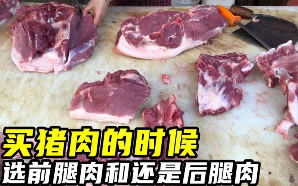 买猪肉的时候,选前腿肉和还是后腿肉,学会不花冤枉钱哔哩哔哩bilibili