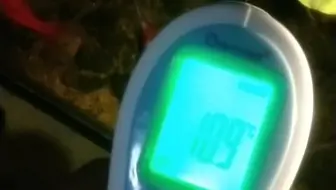 冬钓冲阿！兄弟们看我家鱼十度都还蹦跶……