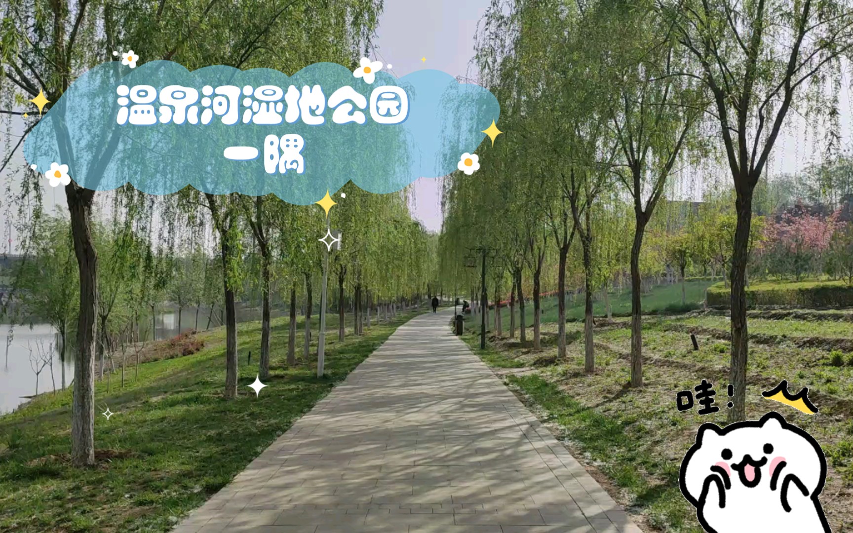 温泉河湿地公园一隅