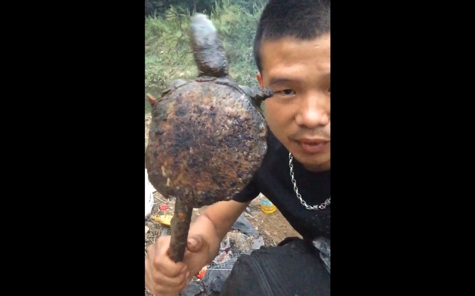 烤成这样了估计只剩下焦炭了吧?