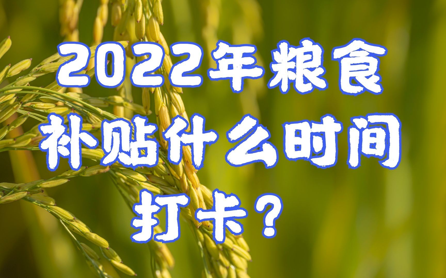 粮补何时打卡?每亩补贴多少钱?粮补、粮价:3个好消息!哔哩哔哩bilibili