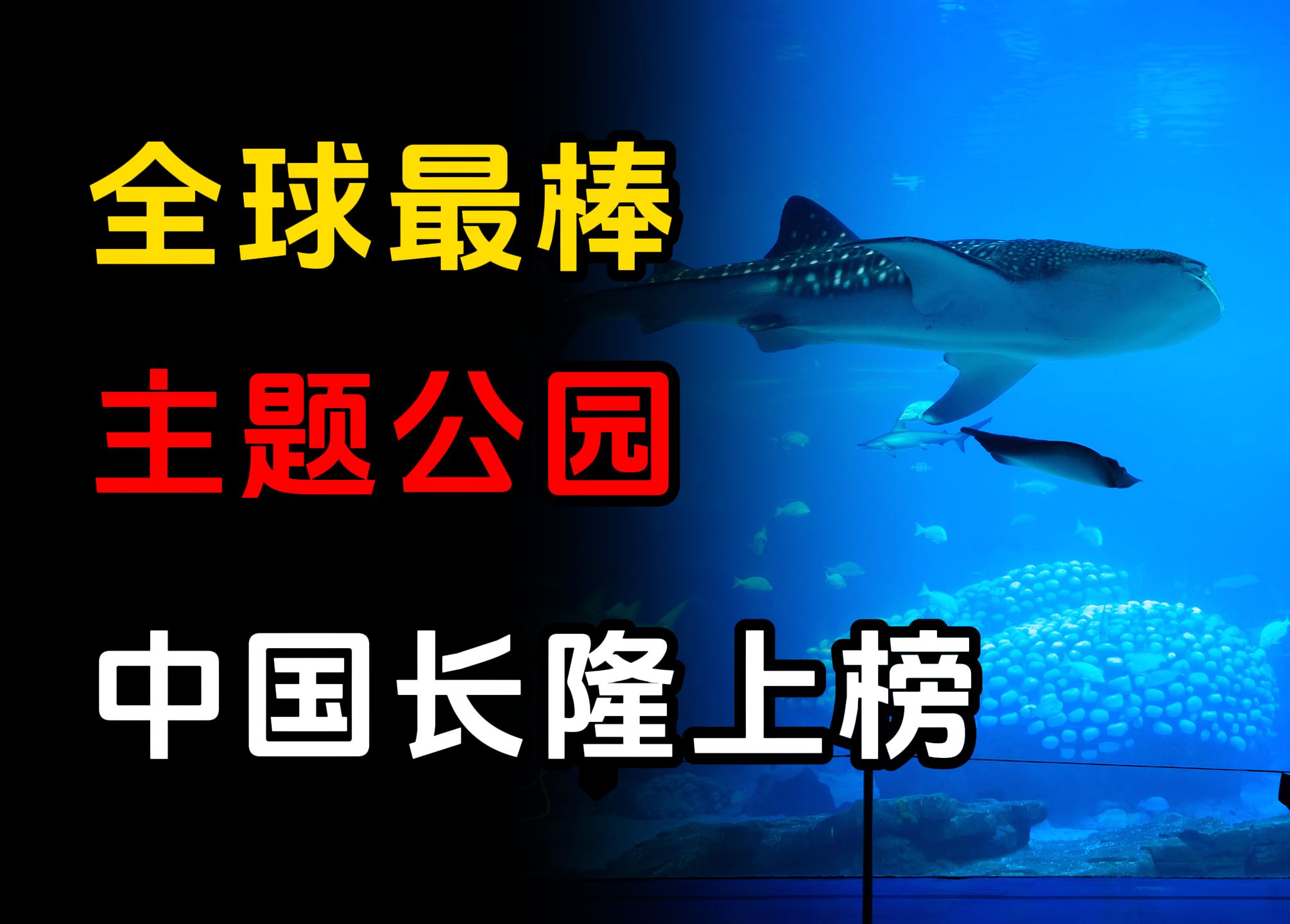 全球最好玩的十个主题公园,迪士尼一家独大,珠海长隆惊讶世界哔哩哔哩bilibili