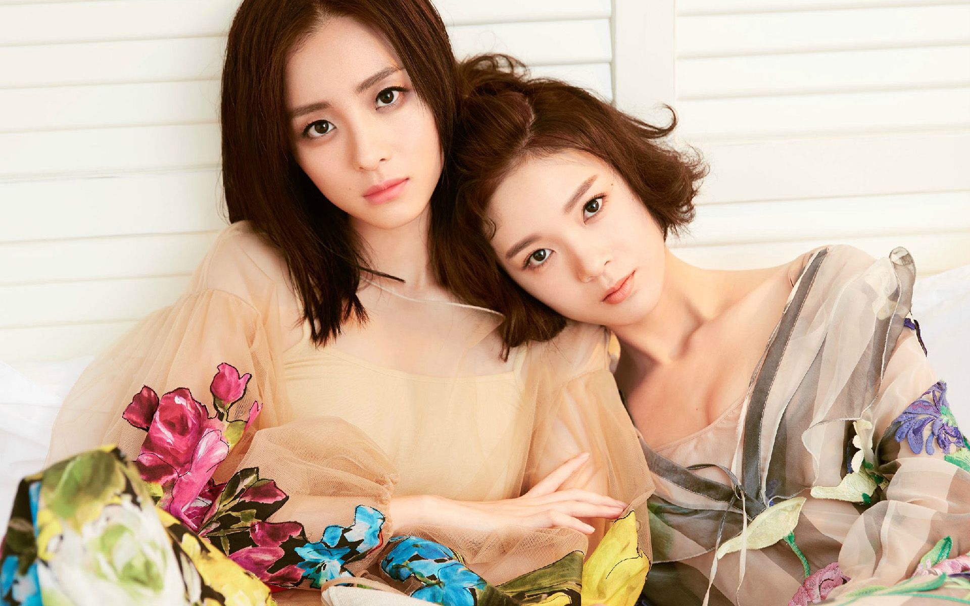 【柜中美人】(黄轻风x胡飞鸾)胡冰卿与陈瑶_哔哩