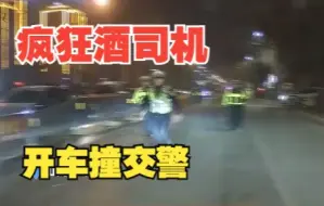 Download Video: 你麻烦大了 酒驾遇检查一车人想招逃逸 司机：听我的 就没事