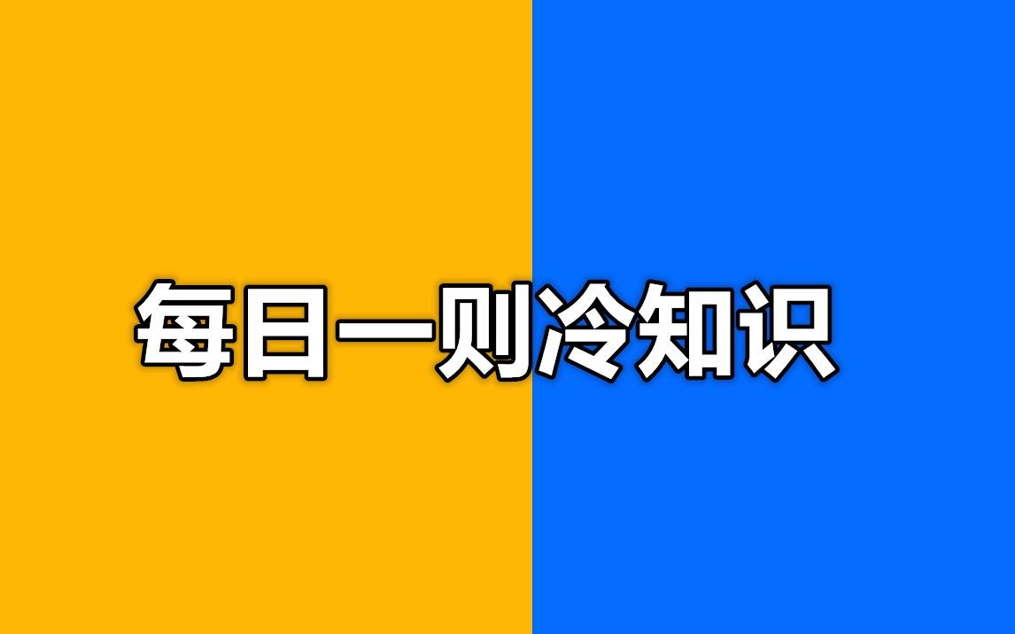 每日一则冷知识:你知道淘宝的名字是谁起的吗?哔哩哔哩bilibili