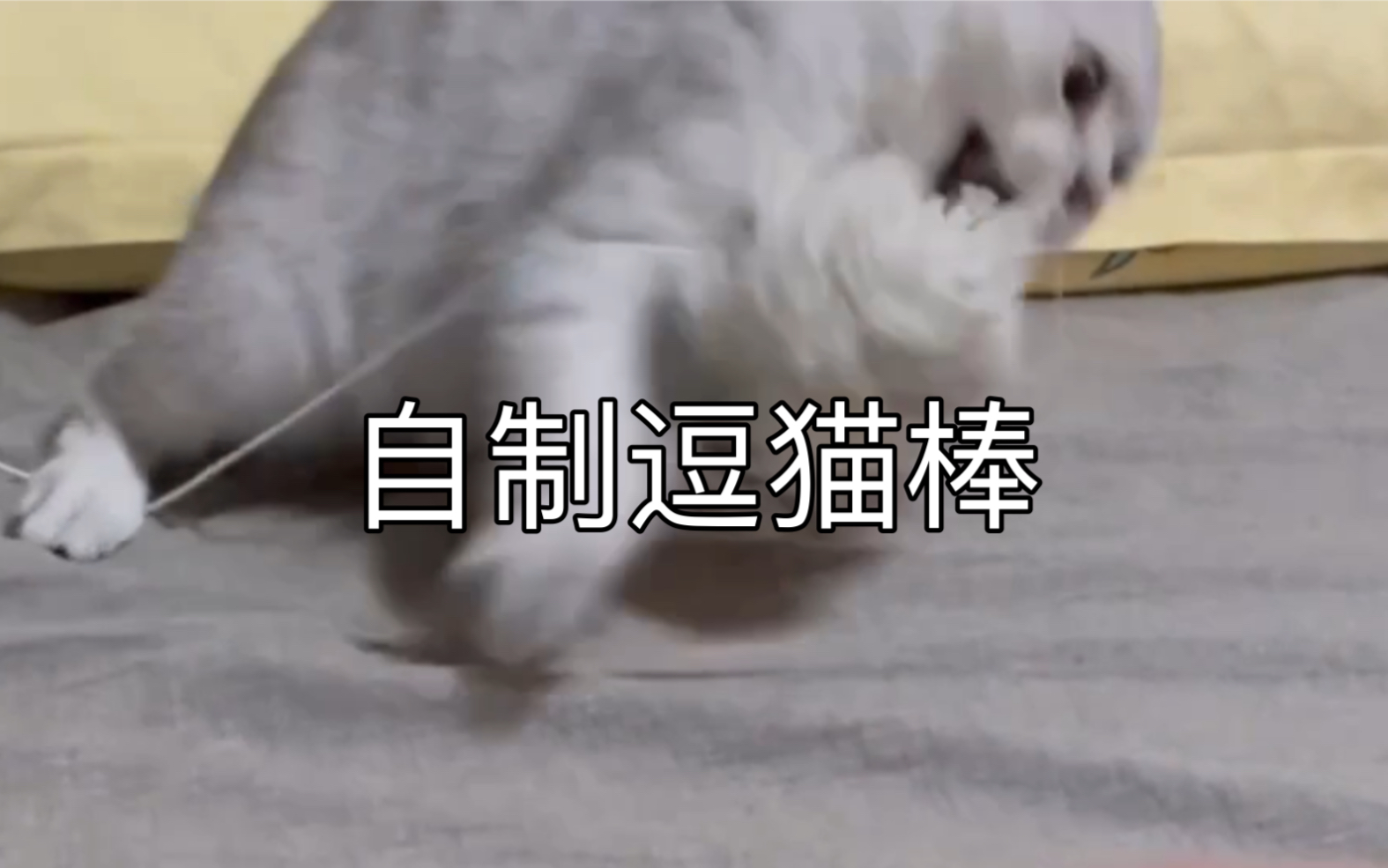 自制逗猫棒(有手就会做)哔哩哔哩bilibili