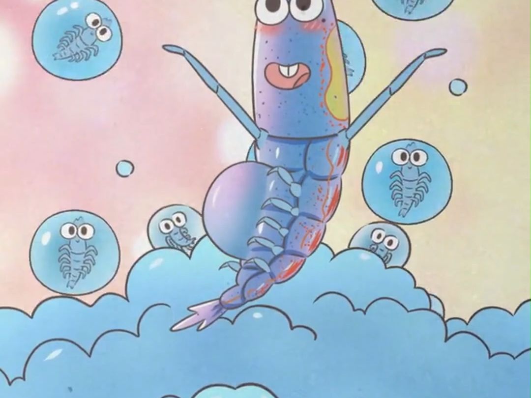 100块口香糖都捞不回来的口气大师——磷虾