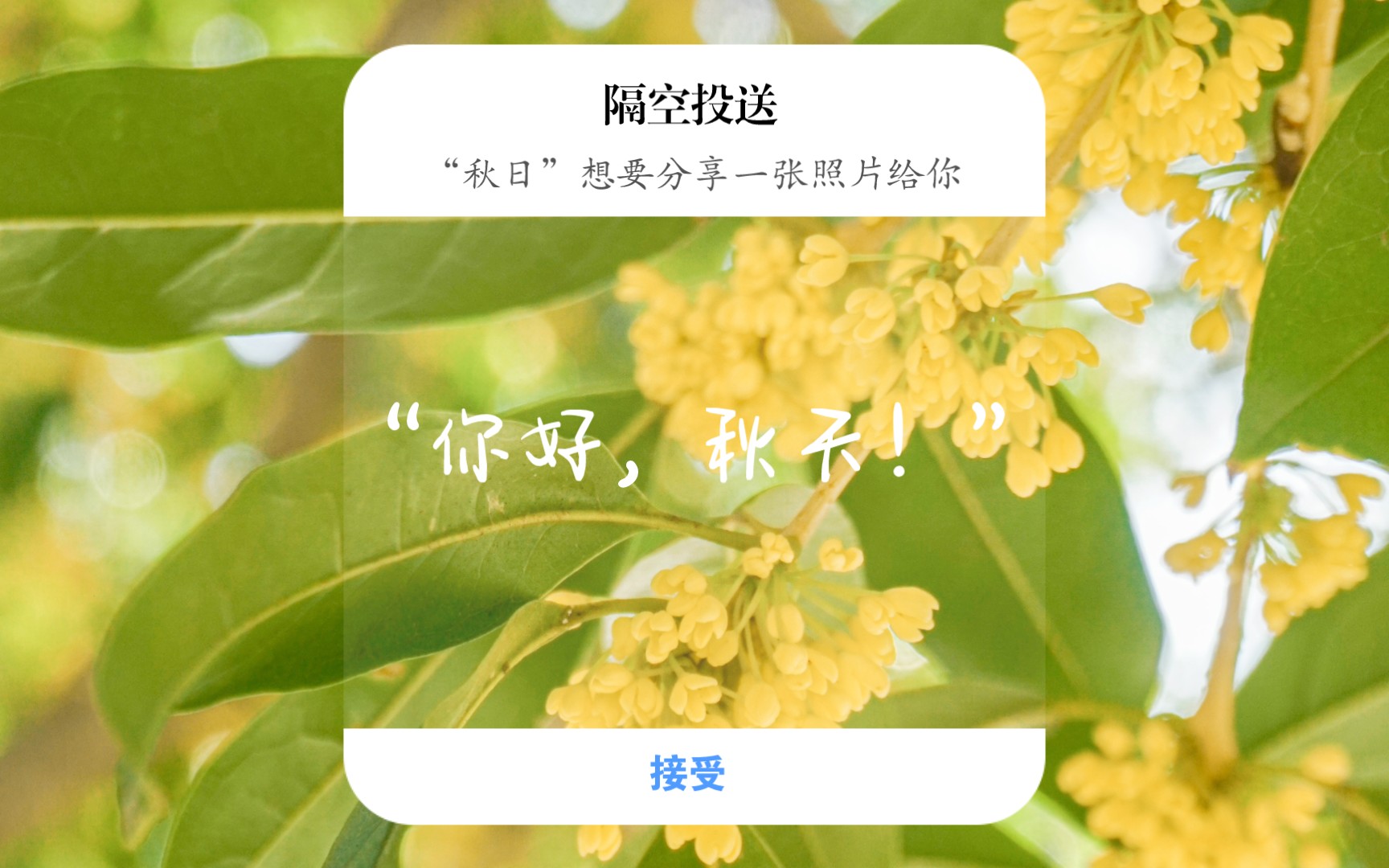 [图]【自然】人闲桂花落