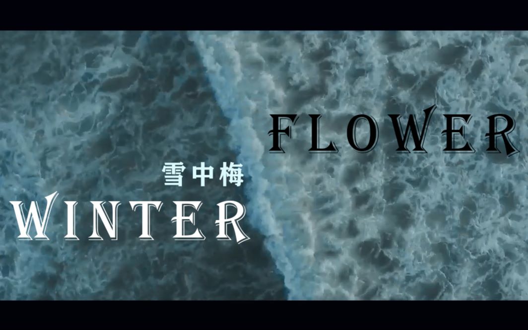 [图]【WINTER FLOWER最美中文填词翻唱】女子为何白日鸡叫不断，一切尽在中翻雪中梅！