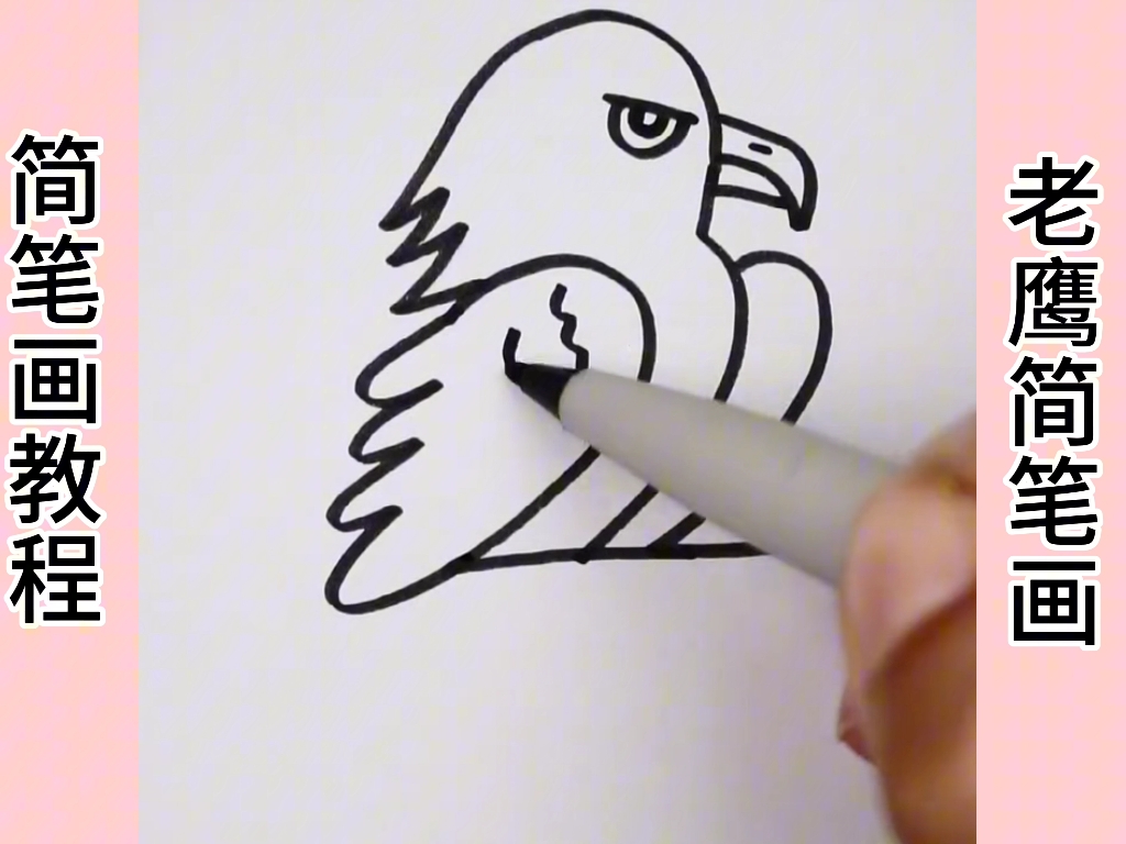 怎么画老鹰简笔画图片