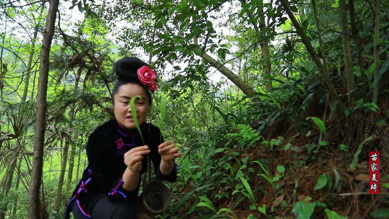 农村大山大片大片的肾精草,农村人不知有何用,城里人用钱才买到哔哩哔哩bilibili