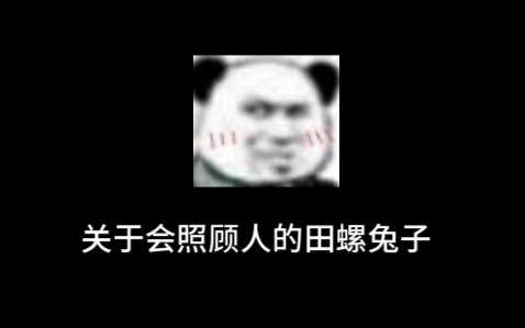 (四爱)兔子后续3:关于田螺兔子哔哩哔哩bilibili