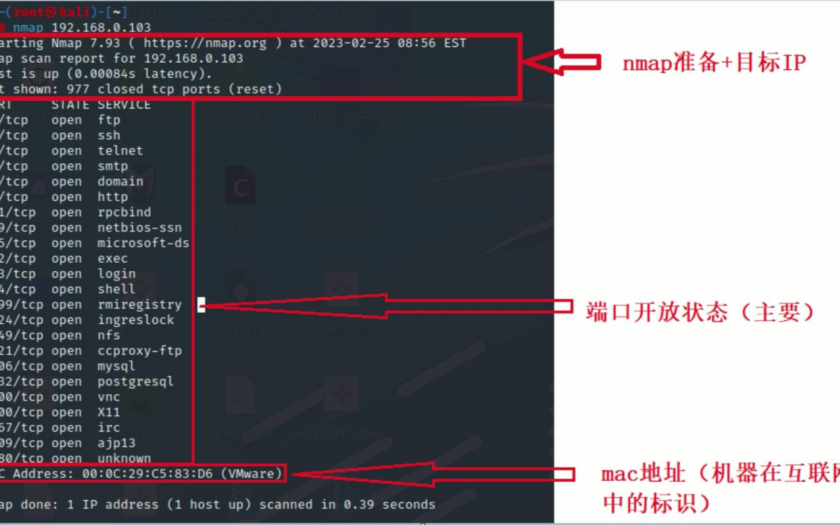 nmap的基本用法哔哩哔哩bilibili