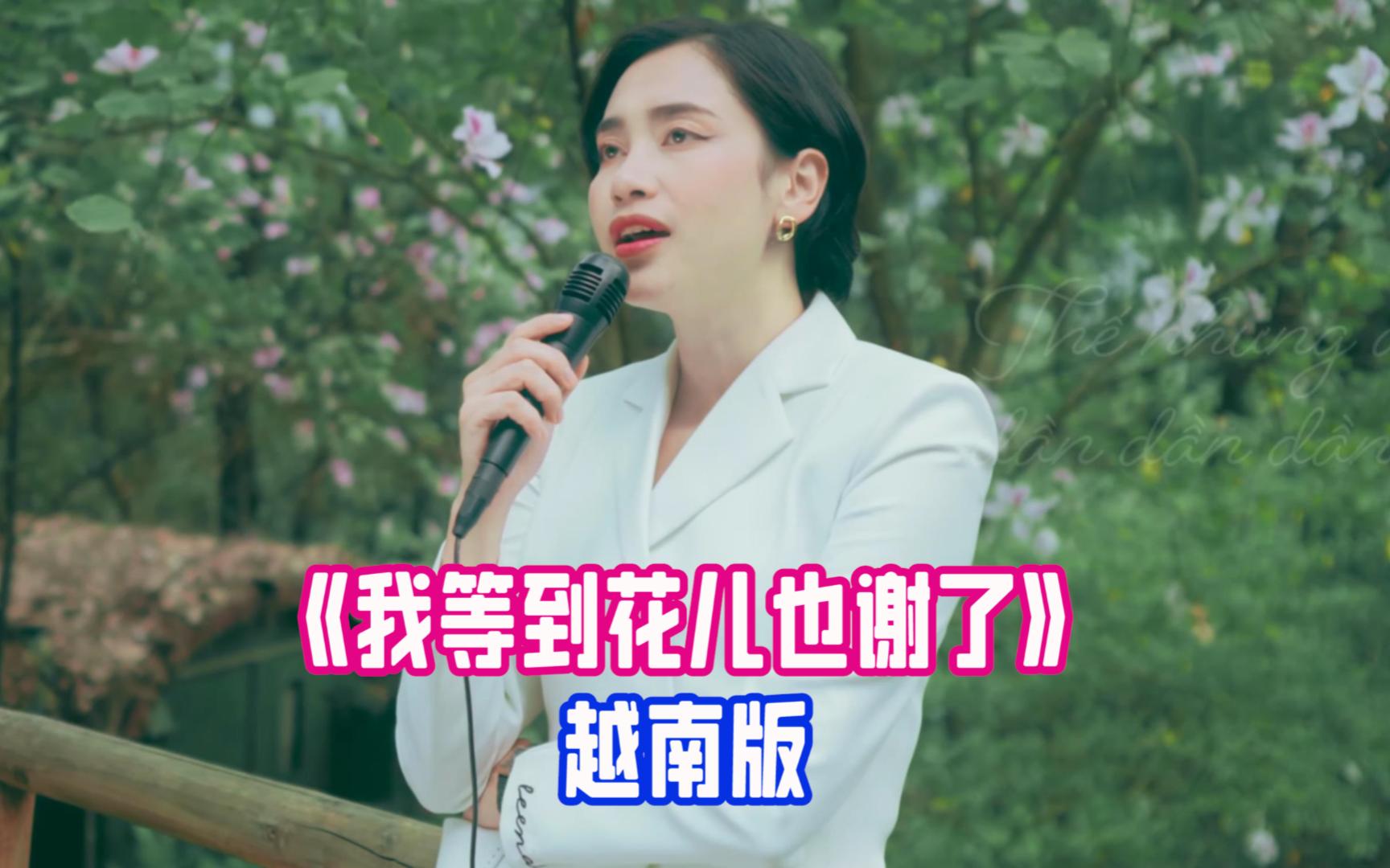 [图]张学友《我等到花儿也谢了》越南第四版歌词翻唱《Đợi Anh Đến Hoa Cũng Tàn》- Đặng Thanh Tuyền