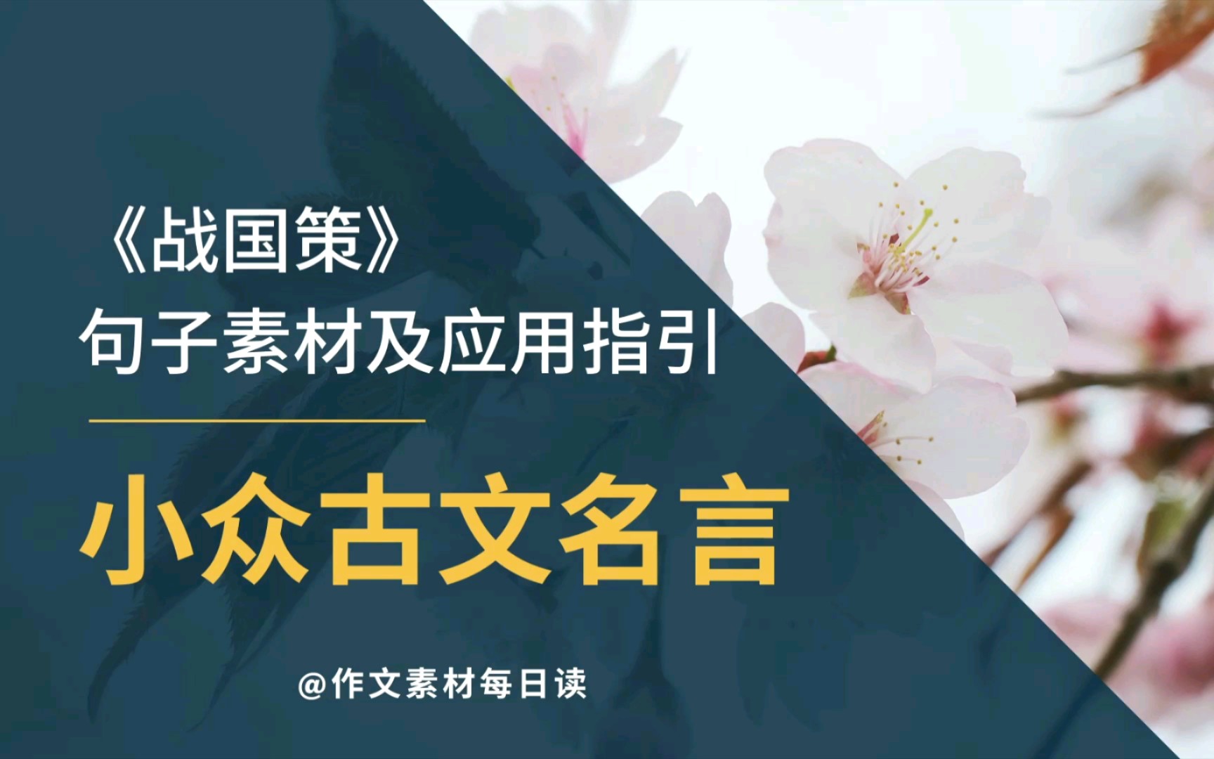 【作文素材配音】小众古文名言:《战国策》句子素材及应用指引哔哩哔哩bilibili