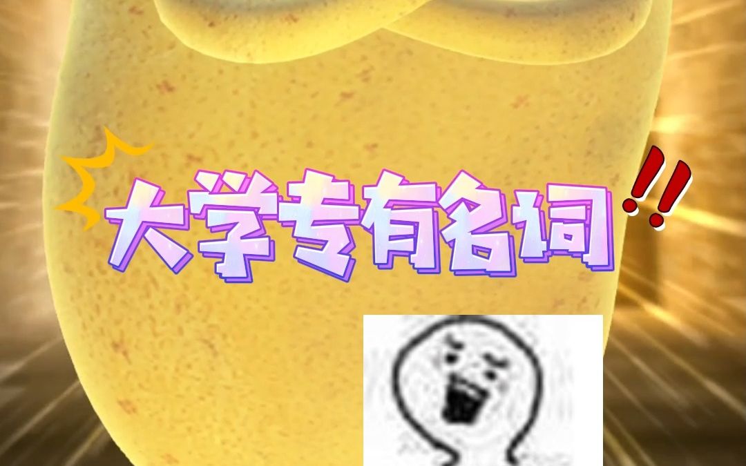 大一新生必须清楚了解的大学专有名词!哔哩哔哩bilibili