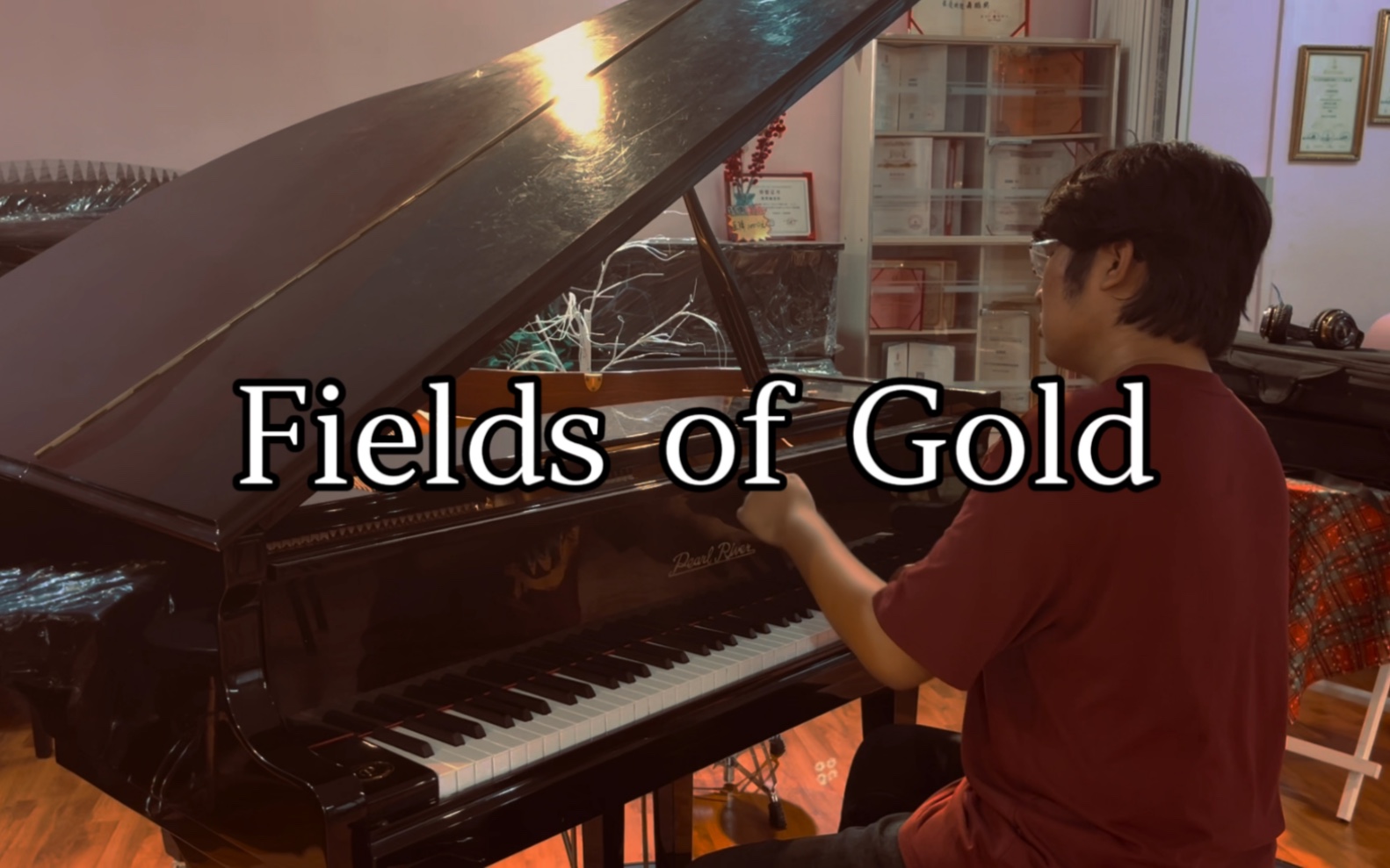 [图]Fields of Gold 钢琴版