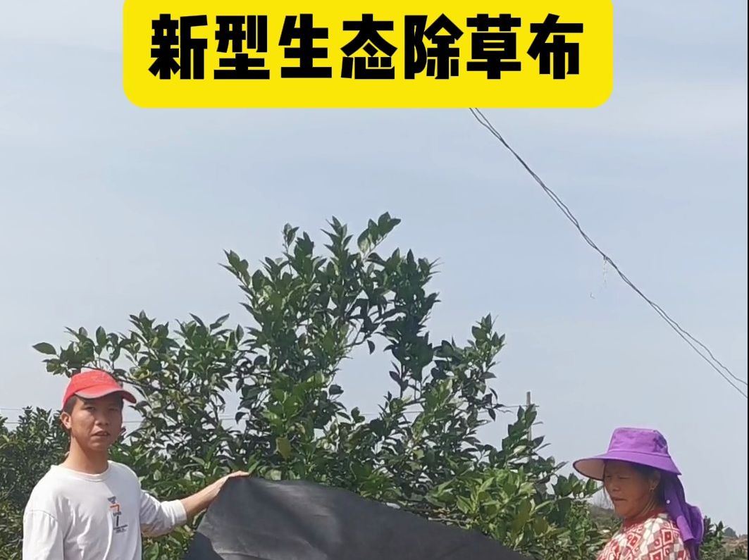 这款防草布来助你一臂