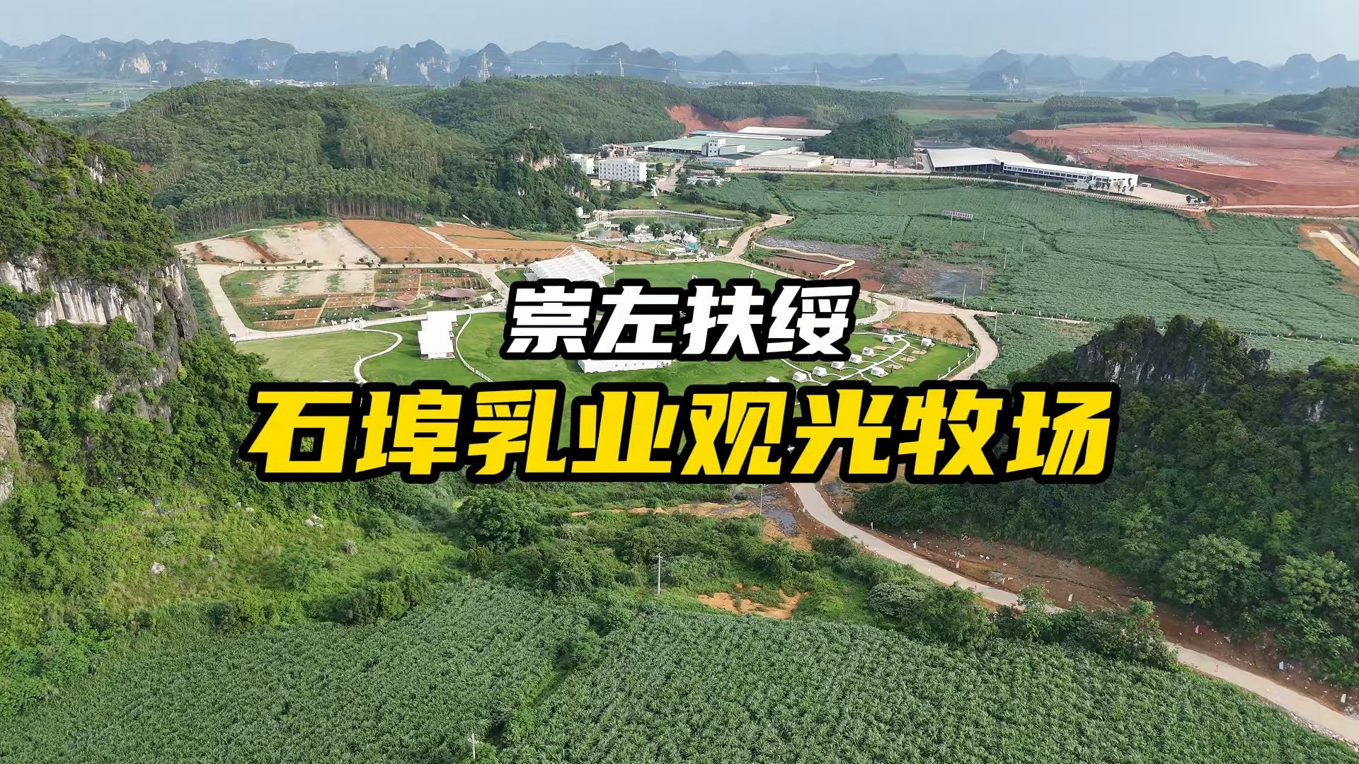 扶绥石埠乳业观光农场,智能挤牛奶你肯定第一次见,并吃上奶含量很高的