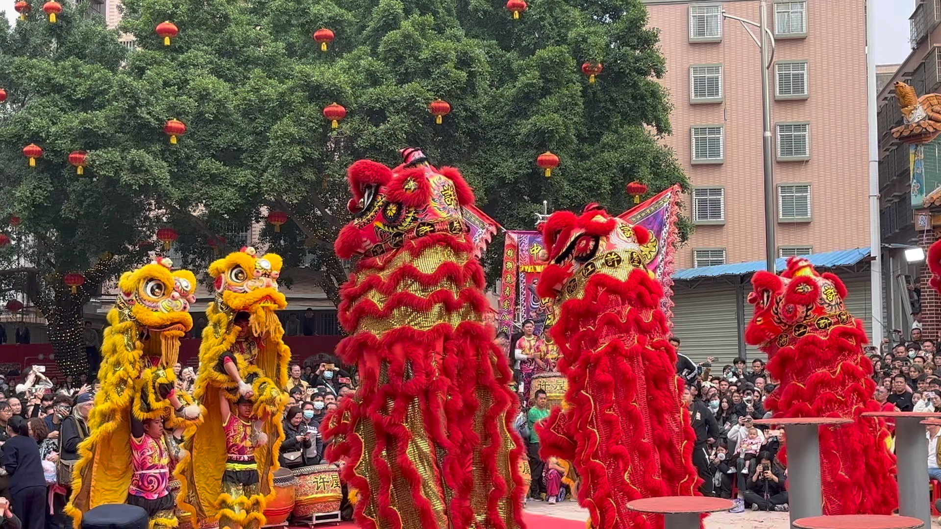 [图]湛江年例必须是看百姓村，醒狮团都得是遂溪许屋的。带你沉浸式感受现场～