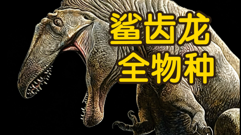 史上最强肉食恐龙家族？鲨齿龙类全物种科普【暴君征途7】