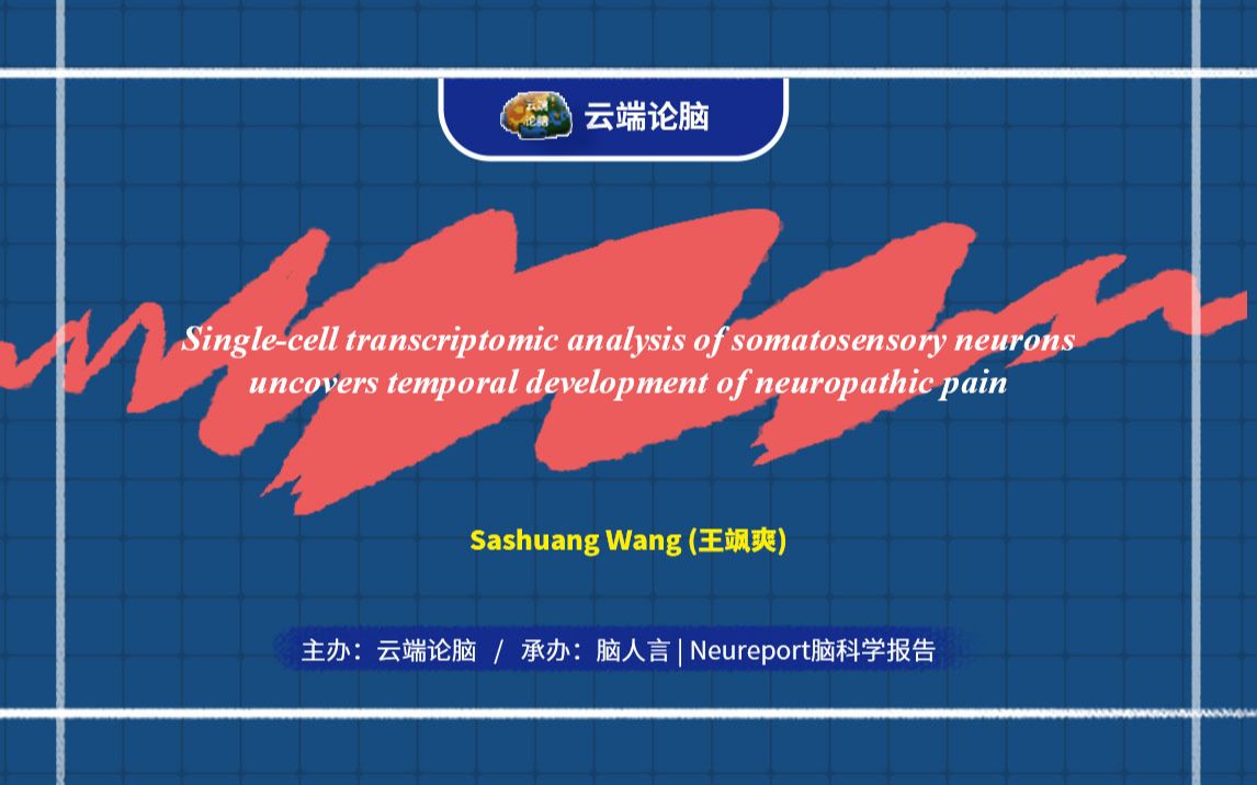 云端论脑 第28期|躯体感觉神经元单细胞测序揭示神经病理性痛的动态发展过程哔哩哔哩bilibili