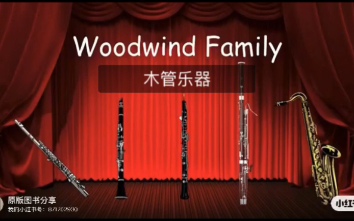 woodwind family 儿童英语启蒙 乐器名称启蒙哔哩哔哩bilibili