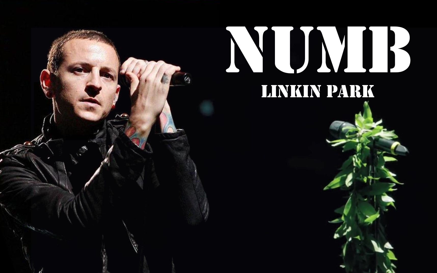 [图]《Numb》查斯特去世后，震惊全球粉丝。当洛杉矶的上空响起歌曲前奏，全场万人齐声合唱，令人泪目！【永远的林肯公园】